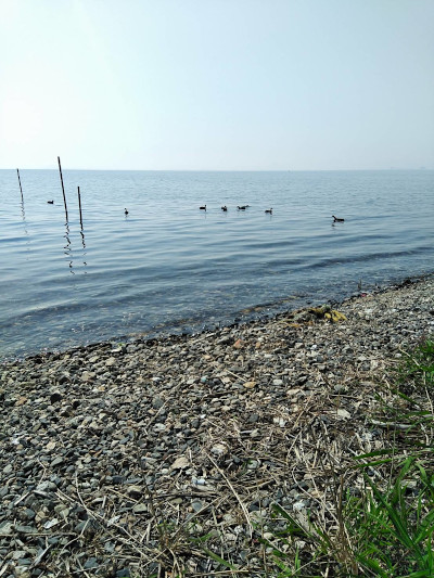 琵琶湖が見える土地に建つ